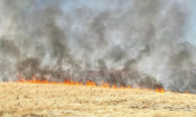 Several fires reported in Roundup area