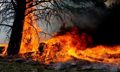 Crooks Fire near Arlee still raging