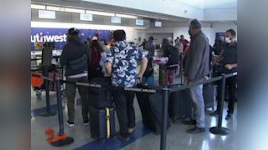 More than 14% of American Airlines flights cancelled Sunday